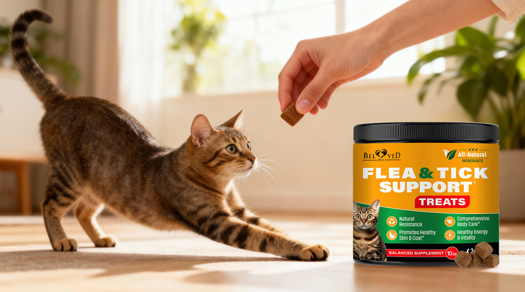 View of Why Natural Flea & Tick Prevention Is Safer for Your Cat – Belovedpetsbrand