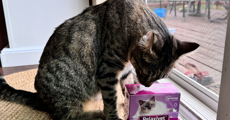 Why Pheromone Refills Beat Tablets and Treats