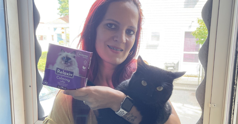 Helping Your Cat Stay Calm When Your Family Grows