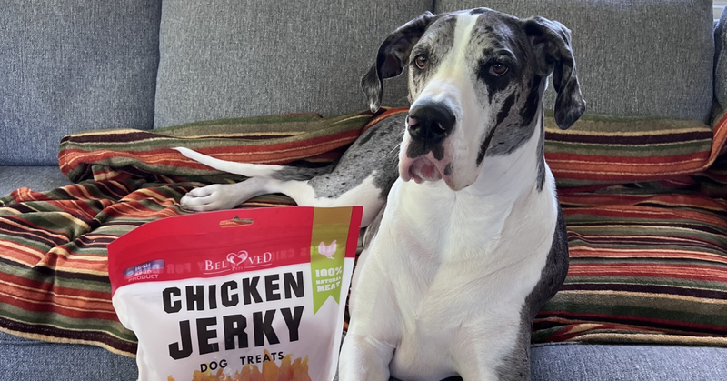 Simple Ingredients Matter: What’s Inside Our Chicken Jerky Dog Treats
