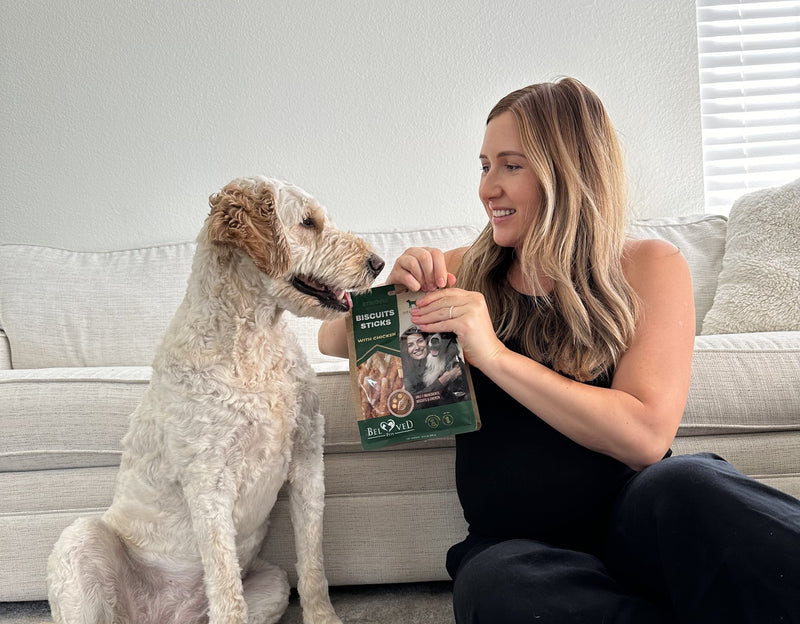 Biscuit Dog Treats: The Best Option for Training Your Furry Friend