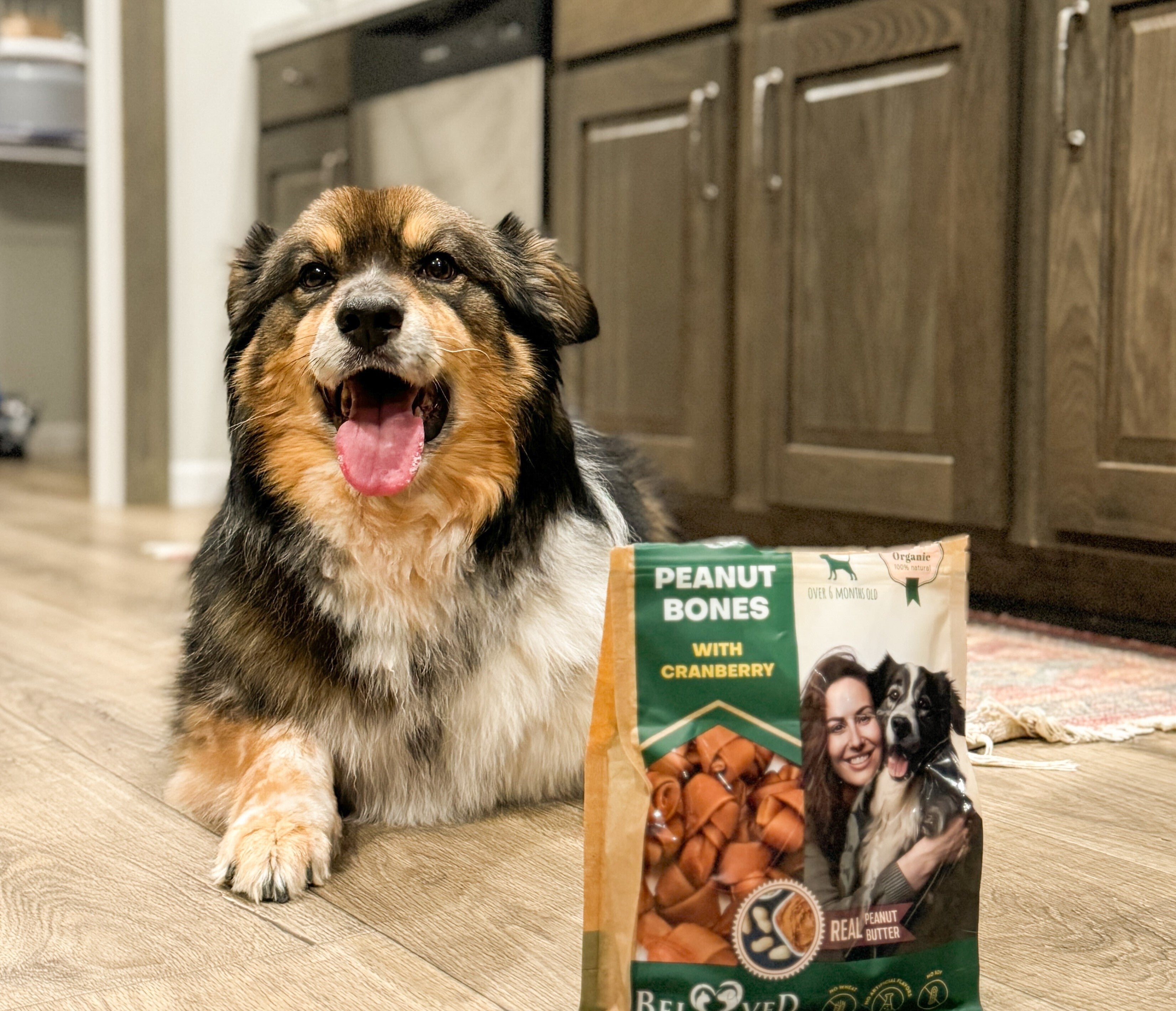 Is Peanut Butter Dangerous for Dogs? Belovedpetsbrand