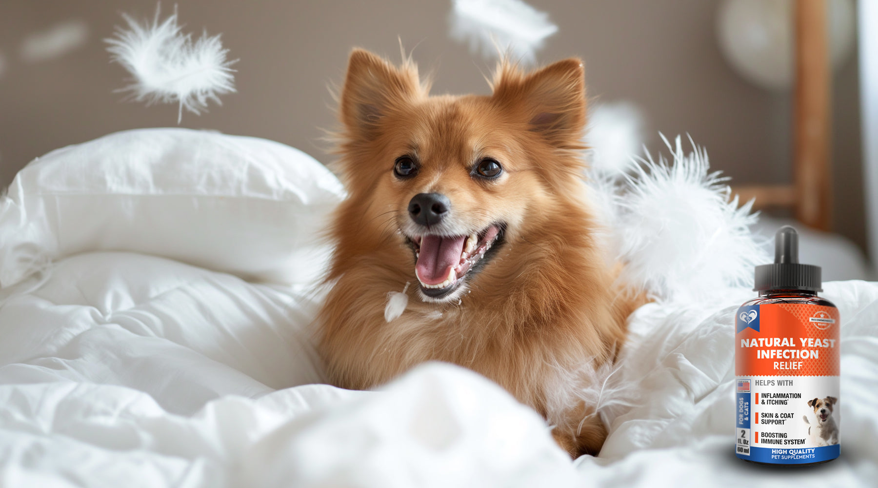 View of 3 Symptoms of Pet Yeast Infections and How to Treat Them – Belovedpetsbrand