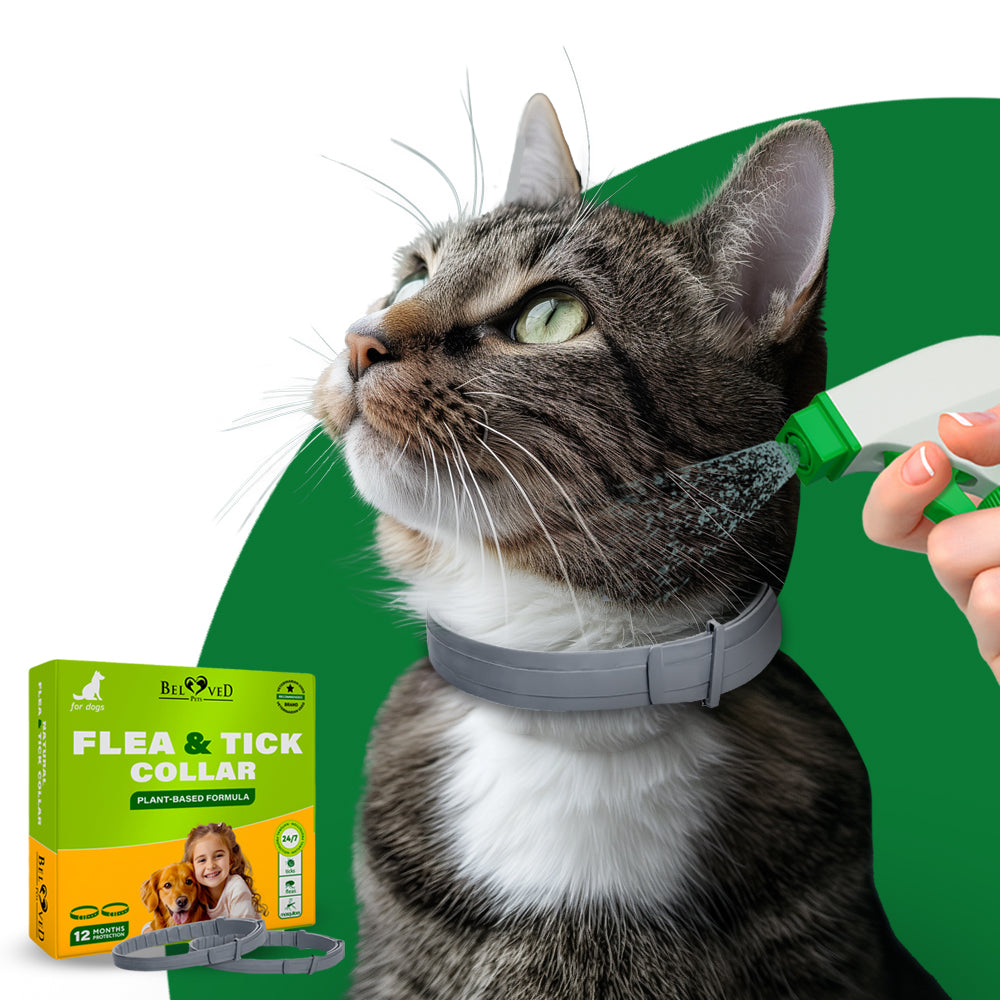 Flea collar and frontline best sale