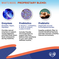 Dog & Cat Probiotics + Prebiotics with Enzymes for cats and dogs — Beloved Pets, photo 3 — photo 3