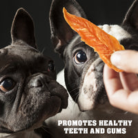 Chicken Jerky Slices 1.5 lb for dogs — Beloved Pets, photo 4 — photo 4
