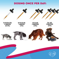 Herbal Respiratory Support Drops for cats and dogs — Beloved Pets, photo 6 — photo 6