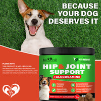 Dog Hip & Joint Chews for dogs — Beloved Pets, photo 7 — photo 7