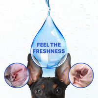 Cat & Dog Ear Cleaner Drops & Wash for cats and dogs — Beloved Pets, photo 6 — photo 6