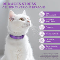 Cat Calming Collar for cats and dogs — Beloved Pets, photo 2 — photo 2