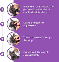 Cat Calming Collar for cats and dogs — Beloved Pets, photo 6 — photo 6