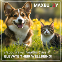 MAXBUDDY Natural Intestinal Defense Herbal Cleanser for Cats and Dogs — photo 7