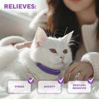 Calming Collar for Cats | Improved DE-Stress Formula | Reduces Anxiety for cats — Beloved Pets, photo 3 — photo 3