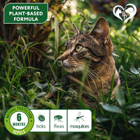 Natural Flea & Tick Collar for Cats for cats and dogs — Beloved Pets, photo 3 — photo 3
