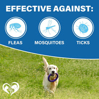 Spot-On Flea & Tick for Small Pets for dogs — Beloved Pets, photo 3 — photo 3