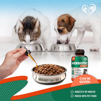 Herbal Wellness Drops for cats and dogs — Beloved Pets, photo 5 — photo 5