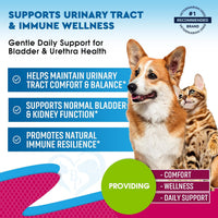 Urinary & Bladder Support – Cranberry & D-Mannose — photo 2