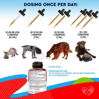 Natural Intestinal Defense for Dogs & Cats for cats and dogs — Beloved Pets, photo 6 — photo 6