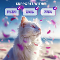 Calming Pheromone Spray & Scratch Repellent for Cats for cats — Beloved Pets, photo 3 — photo 3