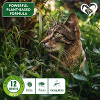 Natural Flea & Tick Collar for Cats for cats and dogs — Beloved Pets, photo 3 — photo 3