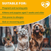 Natural Flea & Tick Home Spray for cats and dogs — Beloved Pets, photo 6 — photo 6