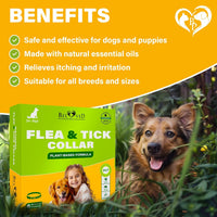 Natural Flea & Tick Collar for Dogs for dogs — Beloved Pets, photo 4 — photo 4