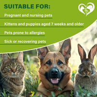 Flea and Tick Prevention for Small Dogs & Cats, Rabbits for cats and dogs — Beloved Pets, photo 8 — photo 8