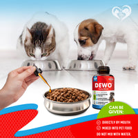 Intestinal Defense Herbal Cleanse for cats and dogs — Beloved Pets, photo 5 — photo 5
