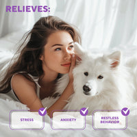 Cat Calming Diffuser Kit for dogs — Beloved Pets, photo 3 — photo 3