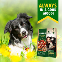 Duck & Chicken Kabob Rawhide for dogs — Beloved Pets, photo 8 — photo 8