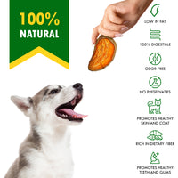 Sweet Potato Chips for dogs — Beloved Pets, photo 2 — photo 2