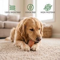 Golden retriever chewing a TOBYDIC chicken jerky strip — 100% digestible, odor free — photo 5