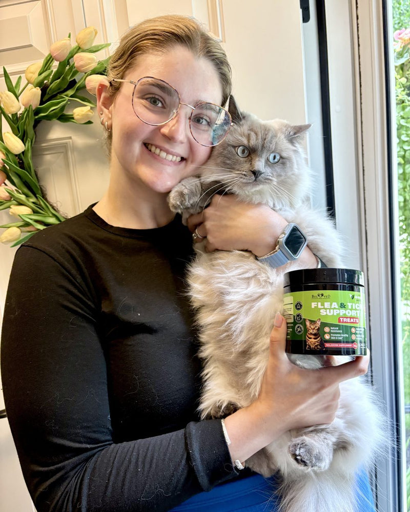 Cat with flea & tick support