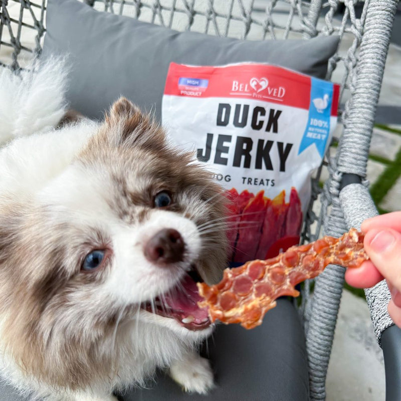Dog with duck jerky