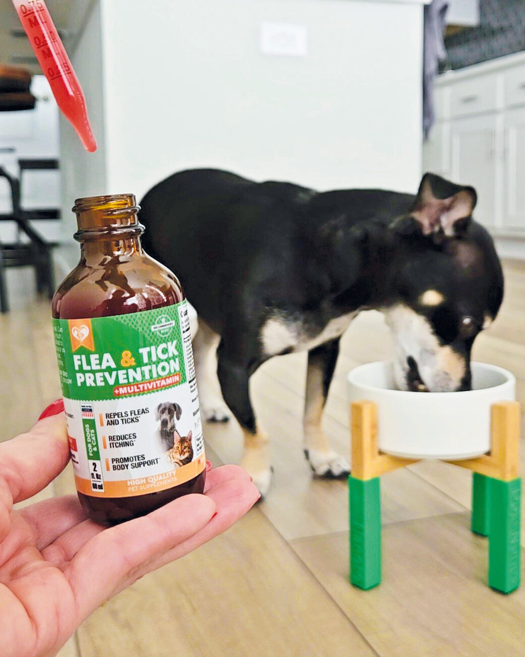 🐾 Get Ready for Flea & Tick Season with Beloved Pets Liquid Treatment!