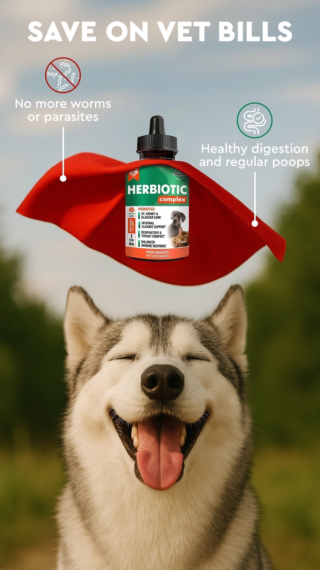 Why Herbiotic Works Slowly but Effectively | Natural Pet Supplement for Dogs & Cats