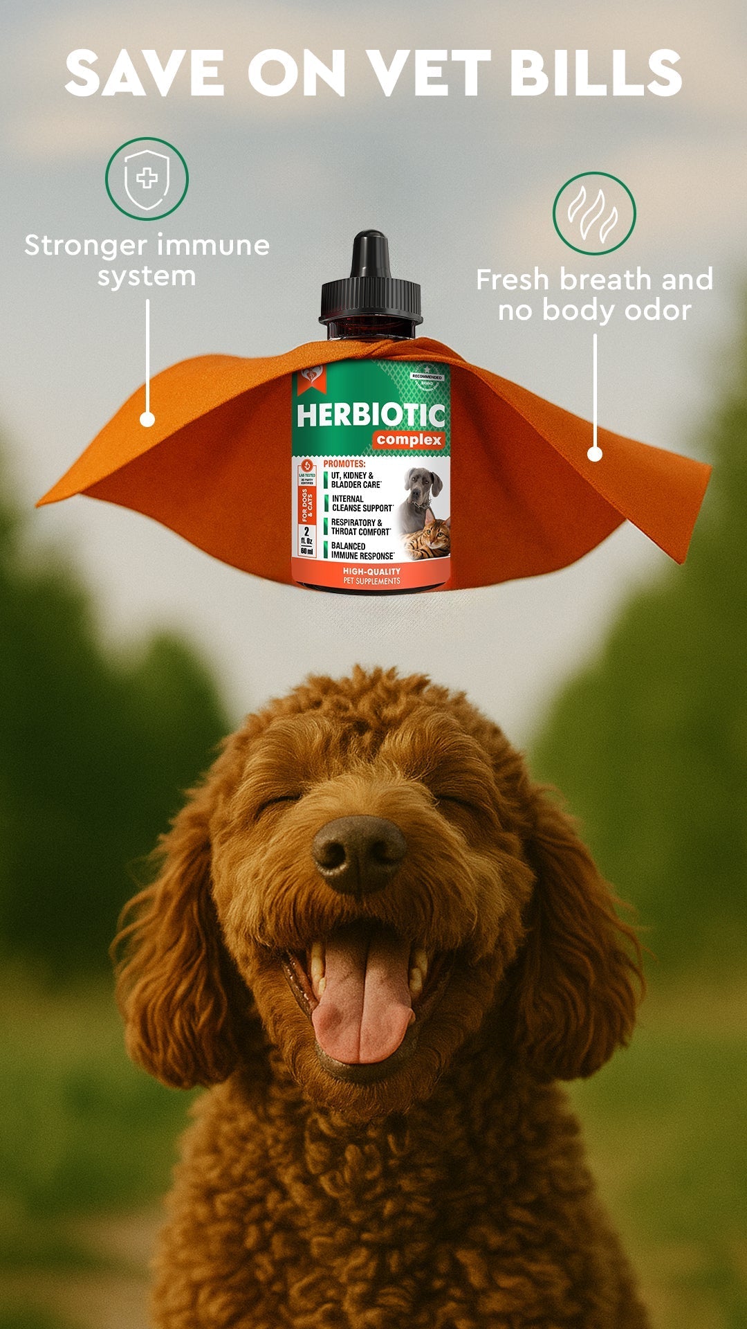How to Give Herbiotic to Your Dog or Cat — Easy Tips for Pet Parents