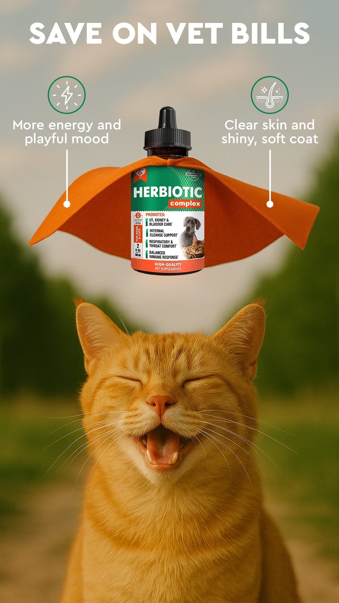 Wondering How Long to Give Herbiotic? Here’s What Pet Parents and Vets Recommend