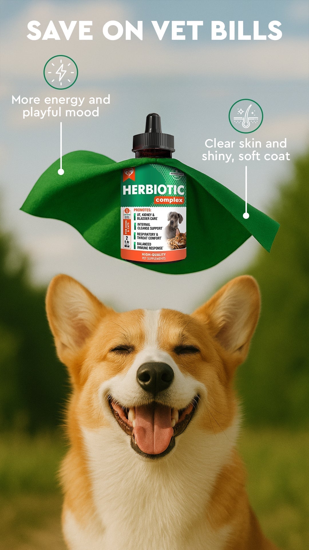 Herbal Antibiotic Power for Pets: Why Vets and Pet Parents Love Beloved Pets Herbiotic