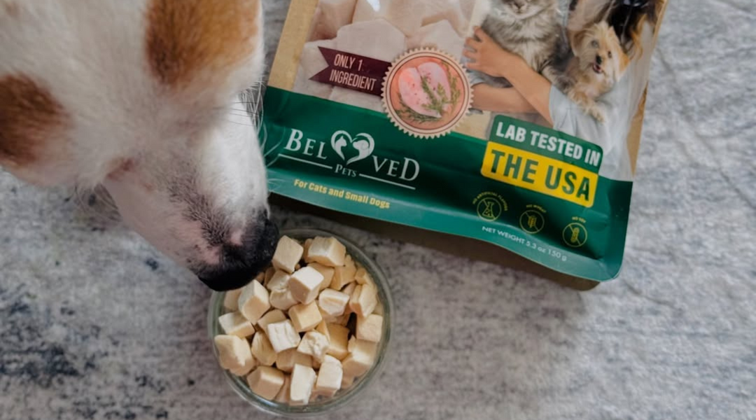 High-Protein Happiness in Every Cube: The Pure Chicken Treat Pets Can’t Resist