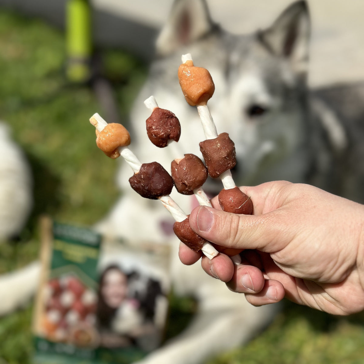 Kabobs Dog Protein