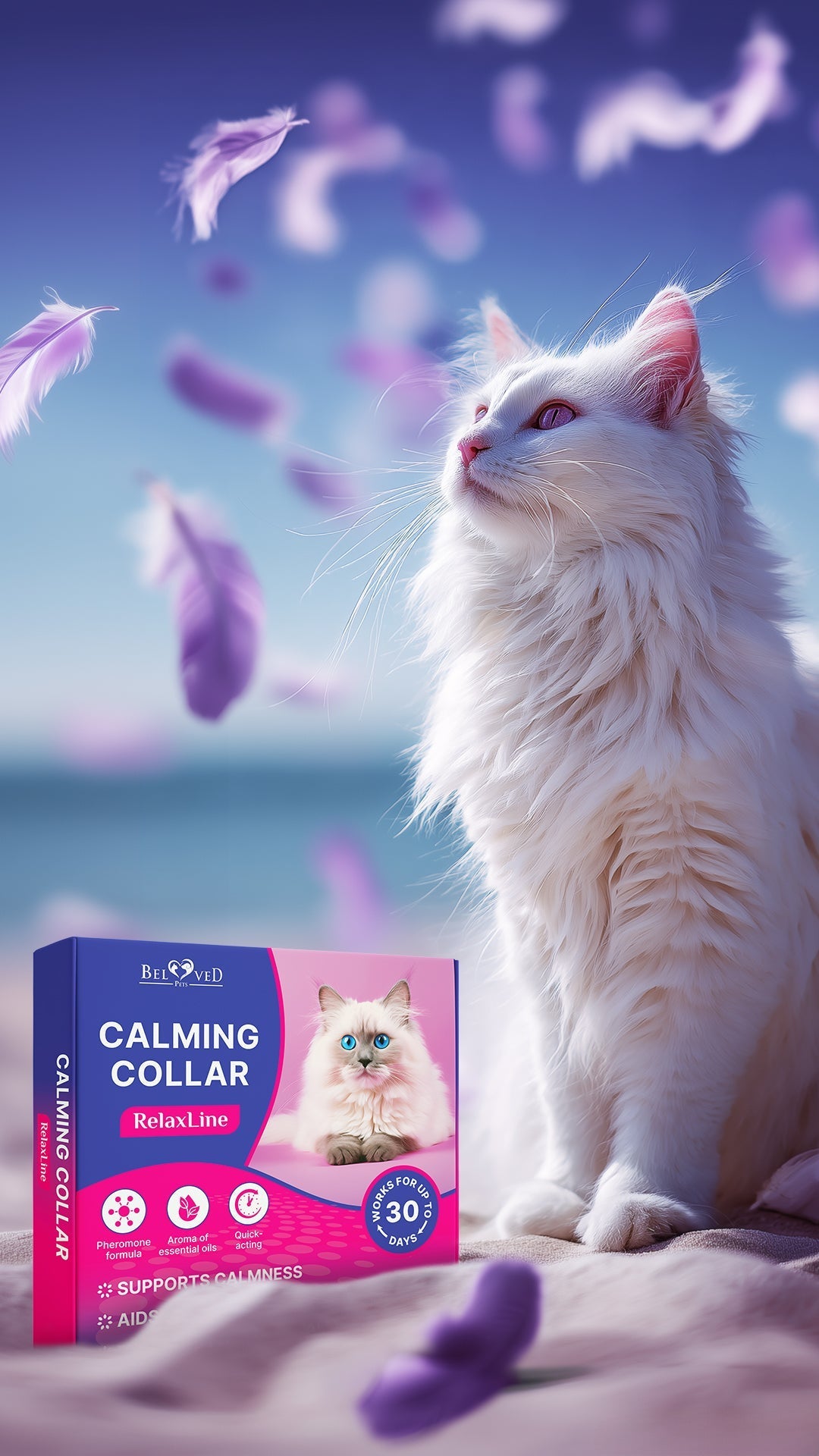 How to Use the Beloved Pets Calming Collar