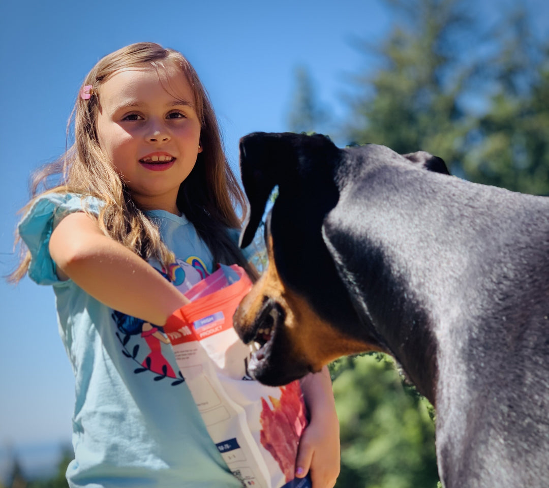 How to Choose the Best Dog Treats