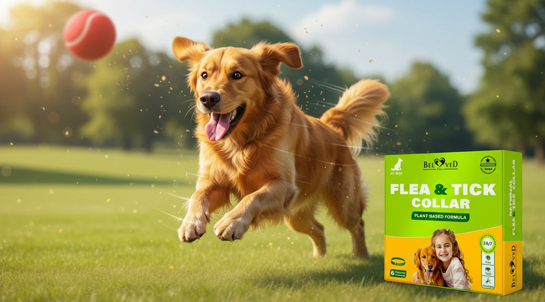 The Golden Rule of Play: Why High-Energy Dogs Need 24/7 Pest Protection