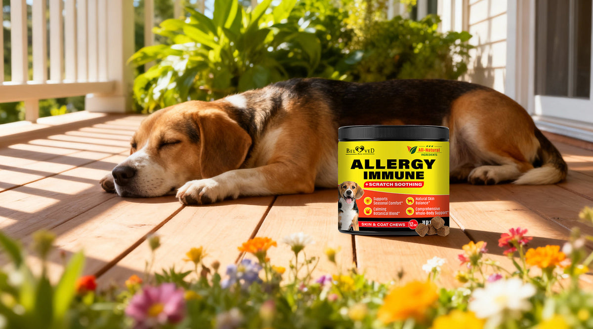 Daily Allergy Defense for Dogs: Vet-Formulated Chews That Bring Fast, Lasting Relief!