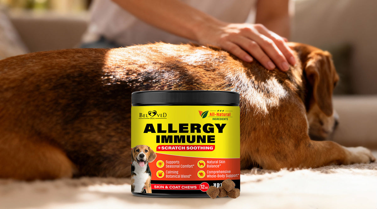 How Many Allergy Relief Chews Should You Give Your Dog Daily?