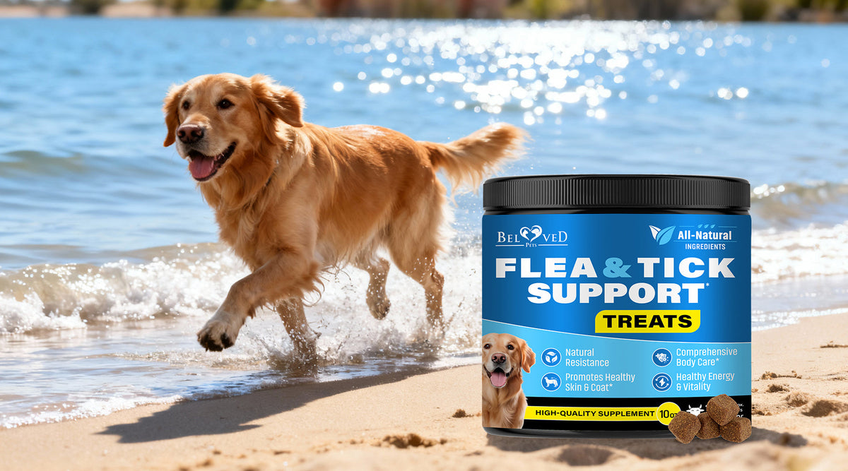 Florida’s Warm Weather Brings Hidden Risks — Stop Fleas & Ticks Before They Start with Tasty Chews