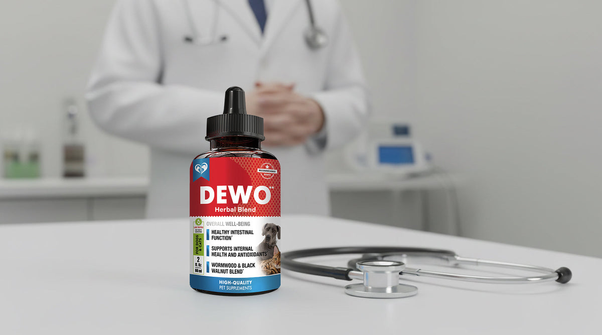 When a Gentle Herbal Support May Be Helpful for Your Pet