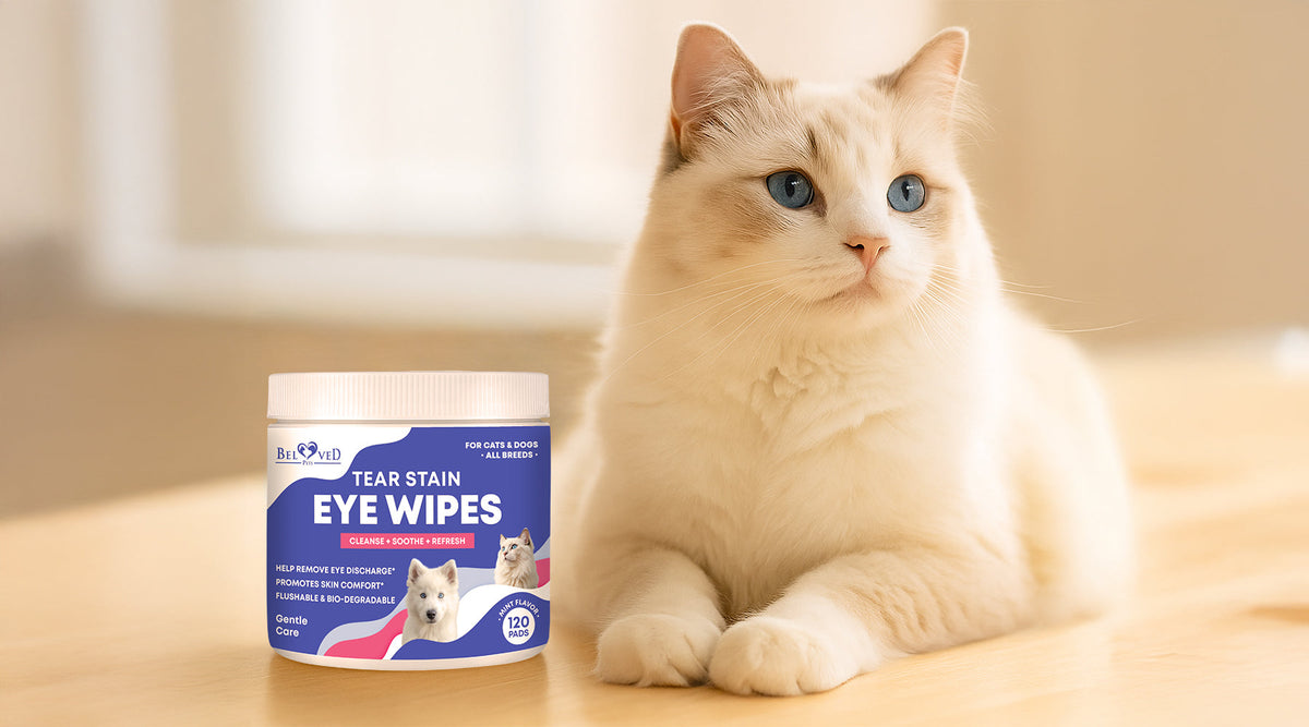 Bright Eyes Every Day – The Benefits of Gentle Eye Wash Wipes for Pets