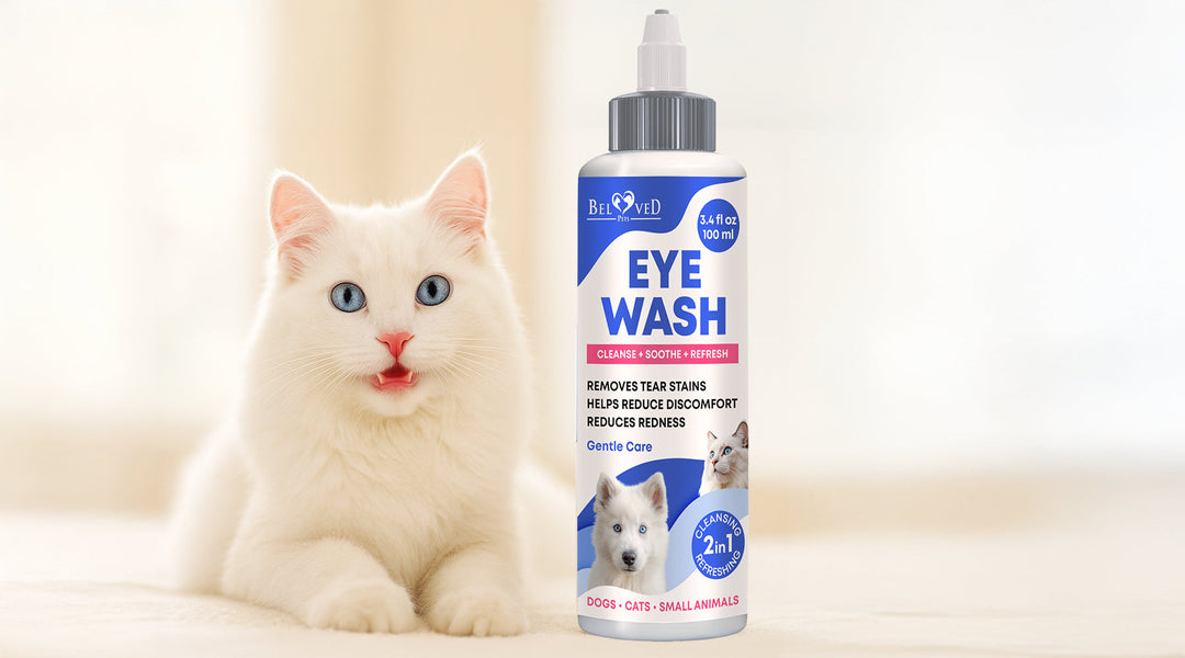 Beloved Pets Eye Wash – Now in 100 ml Bottle!